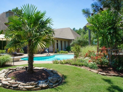 Palm Tree Backyard Pool Landscape