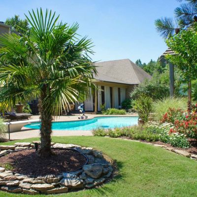 Backyard Pool and Landscape Design